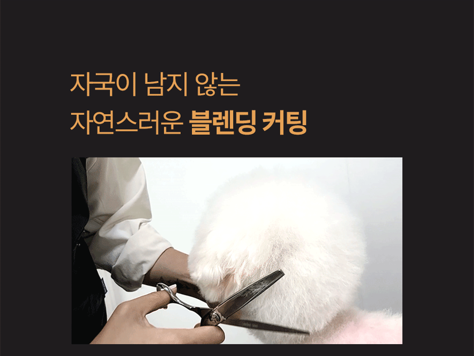 MT65_spec_02.gif